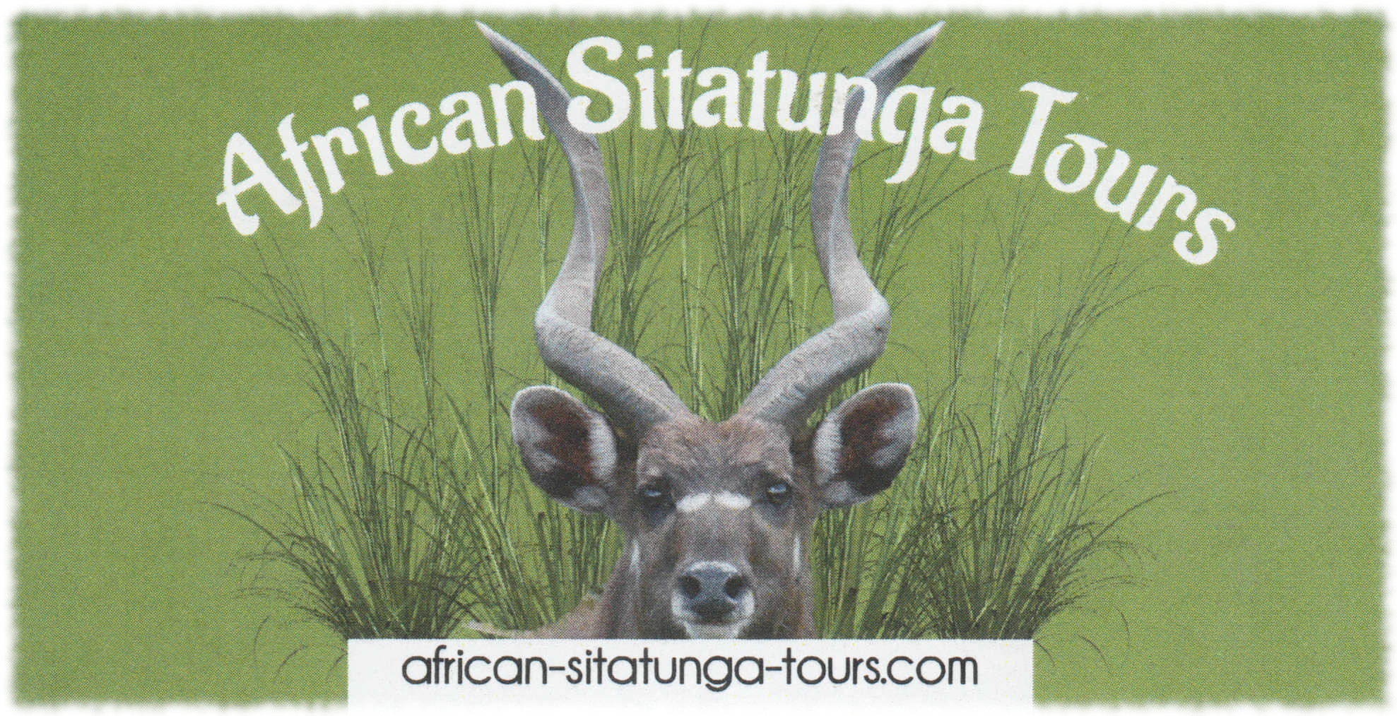 African-Sitatunga-Tours