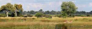 NKasa Rupara Nationalpark